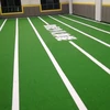 Comfortable and professional artificial grass gym equipment indoor for gym