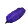 Wholesale high-quality ostrich feather crafts 55CM/60CM Ornament Mask material