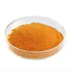 /product-detail/factory-wholesale-natural-beta-carotene-30-powder-carrot-extract-62357033376.html