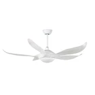 China National Modern Orient Bedrooms Fans home DC pure copper Silent Inverter Remote control Ceiling fans with Led lights