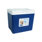 High Quality 10Liter Picnic Mini Car Cooler Box For Fishing and Delivery