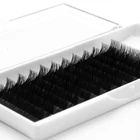 New Eyelash New Soft OEM Volume Eyelash Extensions