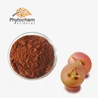 Free sample manufacturers Whitening 95% anthocyanin 40% Polyphenol red wine food extract powder Grape Seed Extract