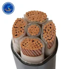 Wear proof xlpe insulated copper power cable for instrument panel 3 core armoured cable