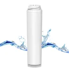 Best GSWF Refrigerator Water Filter NSF Certified Water Filter