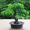 /product-detail/v-3283-hot-seller-artificial-bonsai-tree-plants-with-vase-for-table-decoration-62370053255.html