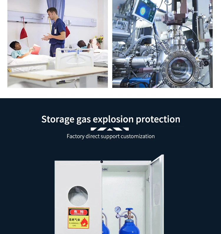 Hot Sale All Steel Gas Cylinder Cabinet for Laboratory Lab Furniture/