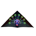 Factory Direct Sales custom easy festival flying 3D led north lighting kite