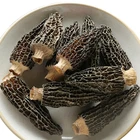 Nature Wild Dried Black Morel Mushroom