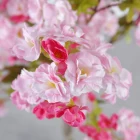 Wholesale 120cm Cherry Blossom Tree Artificial Sakura Tree for Wedding Decoration
