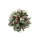 Manufacturers 100MM Ball with Green Leaves and Flowers Hanging Ornaments for Christmas Tree Decorations