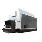 Wood Burning Pellet Fired 2 ton Steam Boiler Steam Engine