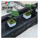 Greenhouse smart farm NFT Hydroponic Growing System for leafy vegetable and fruits