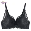 /product-detail/female-fashion-sexy-black-lace-bra-for-women-ladies-bra-brands-62152030124.html