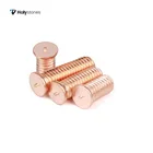 Copper Screws China Factory Brass Copper Spot Welding Screws
