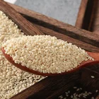 Best quality white sesame seeds NON GMO hulled sesame seeds