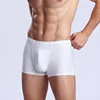 Panties nylon viscose fibre panties transparent ultra-thin men's underwear boxer shorts