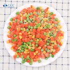 Frozen Vegetable Frozen Mix Vegetable Carrot Corn Green Peas For Easy Cook