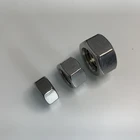 Stainless Steel Hex Nut Support Customization Custom M6 M19 DIN934 316 Stainless Steel Hex Threading Nut