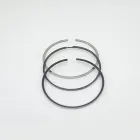 Original Genuine Machinery Diesel Engine NT855 ring 4295801 for Cummins Piston