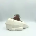 cute polar biodegradable bear ceramic succulent planter plant pot set