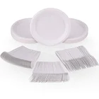 250pcs biodegradable compostable disposable dinnerware set