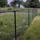 Popular Cost ISO & CE Hot Dipped Galvanized Chain Link Fence For Sale
