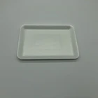eco friendly 100% PLA Foam Biodegradable Compostable Disposable Food tray 22*15.7*1.6