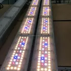 Greenhouse Plants Veg And Flower 500W Full Spectrum Led Grow Light