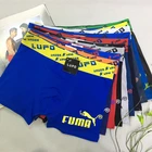 Boxer Shorts For Sexy Boxers For Men In Men's Briefs Boxers Underwear Men Boxer Sexy Men Inner Underwear