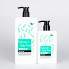 Wholesale Dogs And Cats Pet Delousing Private Label Organic Fairness Shampoo For Pet
