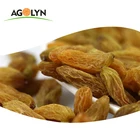 Grade AAA Jumbo Dried Fruits Golden Raisin For Sale