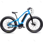 2020 New Arrivals China Ansbern Bafang MM G510 48V 750W/1000W Cheap Mid Drive Fat Tire Electric Bike Mountain