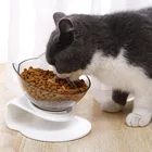 Humanized Design Pet Bowl Declining Design Transparent Plastic Bowl Pet Bowl