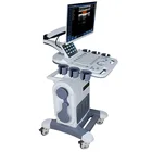 カスタマイズされた色ドップラー 4D エコー超音波検査、ワイヤレストロリードップラー超音波