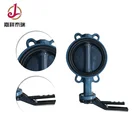 DI body handle operated concentric butterfly valve