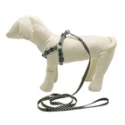 Custom Pattern Soft Nylon PP Polyester Small Pet Harness With Leash,Wholesale Small Dogs Cat Harness In 3 Sizes