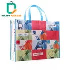 Canton Fair Customized printing non woven flat punch bag for shoes&garment