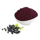 100% Organic Pure Natural black elderberry extract powder
