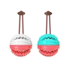 Wholesale Custom New Design Dog Chew Toys Durable Squeaky Dispenser Ball for Dogs Toothbrush