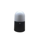 body sensing lawn lamp led garden light