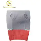 Clothes Dog Wholesale Pet Clothes Hot Selling New Design Fashionable Pet Polyester Designer Dog Hoodie Pet Clothes