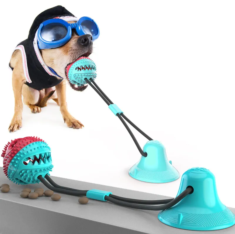 Sucker Food leakage durable tpr ball small smart interactive rubber suction dog toys, Blue/ pink
Sucker Food leakage durable tpr ball small smart interactive rubber suction dog toys, Blue/ pink