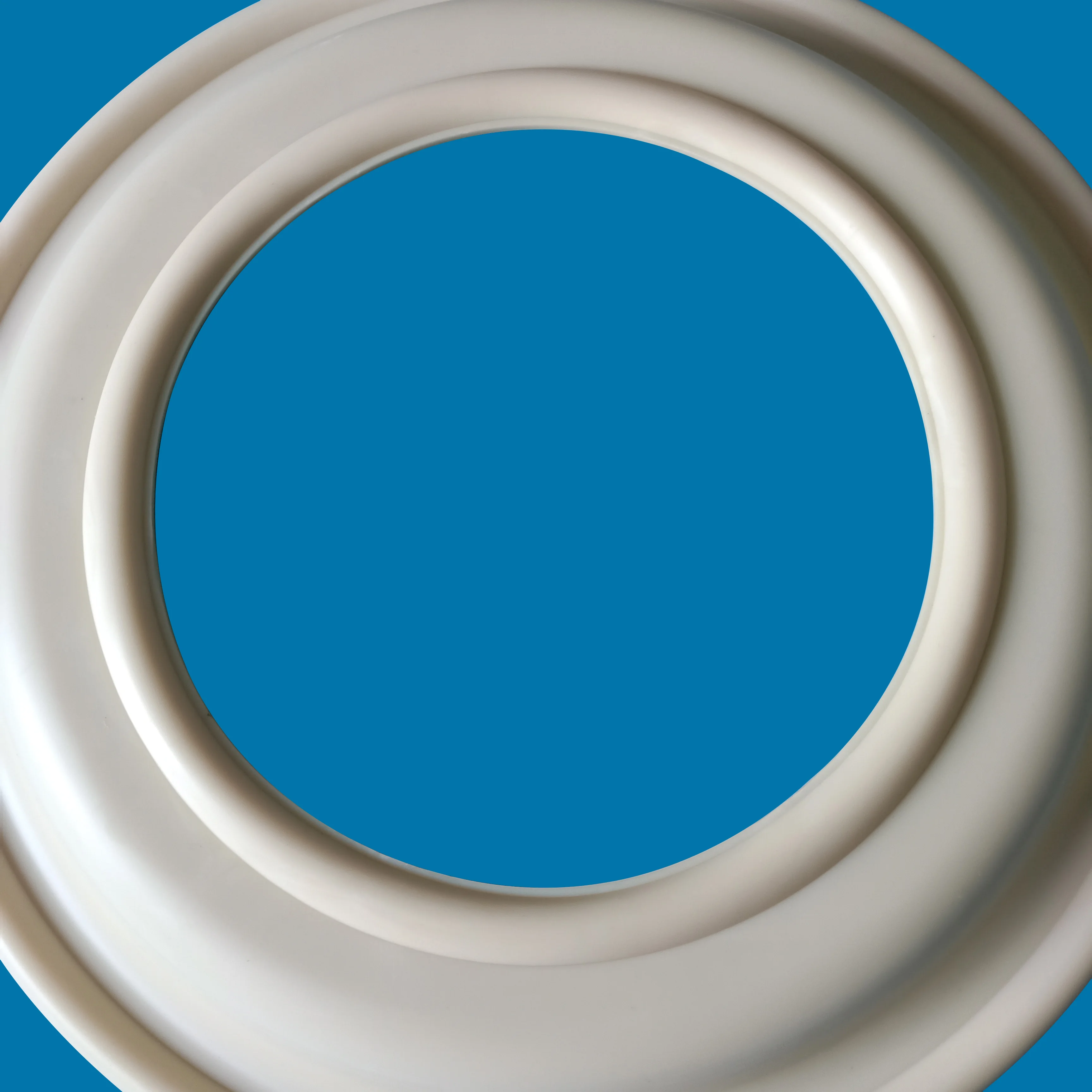 diaphragma postea inveteraverunt aeris sentinam partes 15-1010-58 usus est ut ptfe diaphragmatis officinas