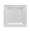 /product-detail/food-industrial-use-and-disposable-feature-compostable-10-square-plate-biodegradable-bagasse-plate-62385682021.html