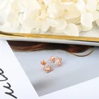fashion luxury ladies sterling silver stud earring Earrings 925 custom hoop crystal for women