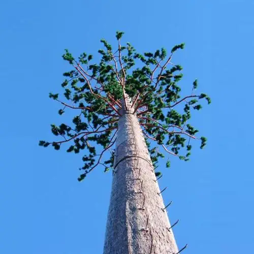 tower 5.jpg