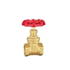 /product-detail/branded-brass-gate-valves-brass-material-bsp-thread-water-gate-valve-60773682362.html