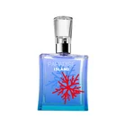 Perfect Eau De Toilette Dear Body Graceful Perfect Eau De Toilette Parfum