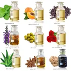 Hot Selling Pure Natural Moroccan Argan Oil Bulk Products